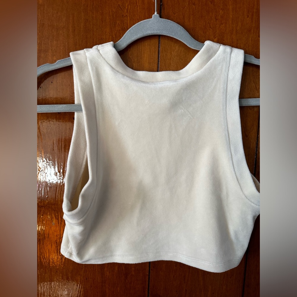 Taupe Velvet Crop Top